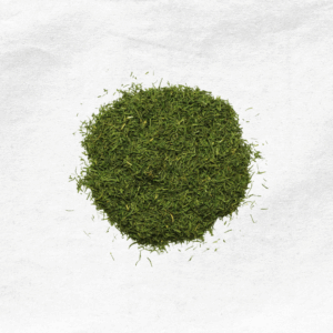 Aneth feuilles <span class="product-weight">(30 gr)</span>
